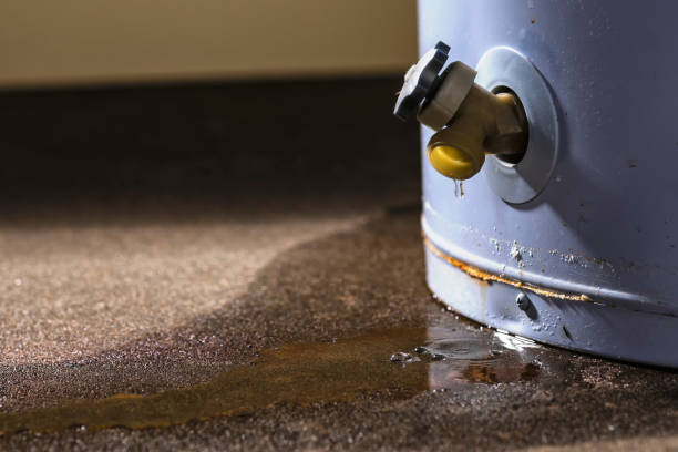 Best 24/7 water damage repair  in Lakemore, OH