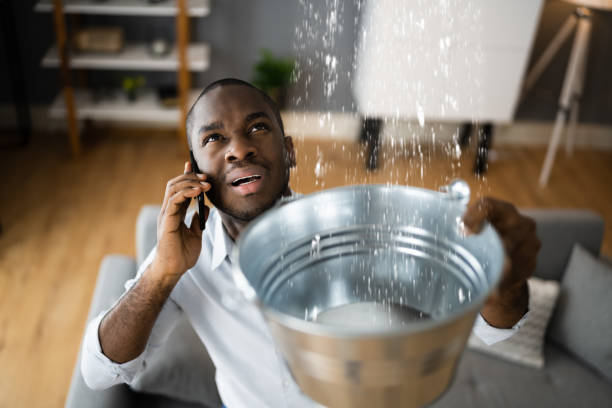 Best Residential water damage restoration  in Lakemore, OH