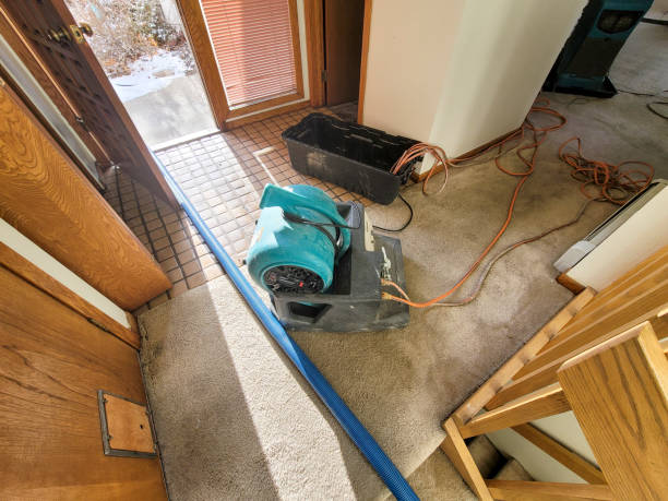 Best Basement water damage restoration  in Lakemore, OH