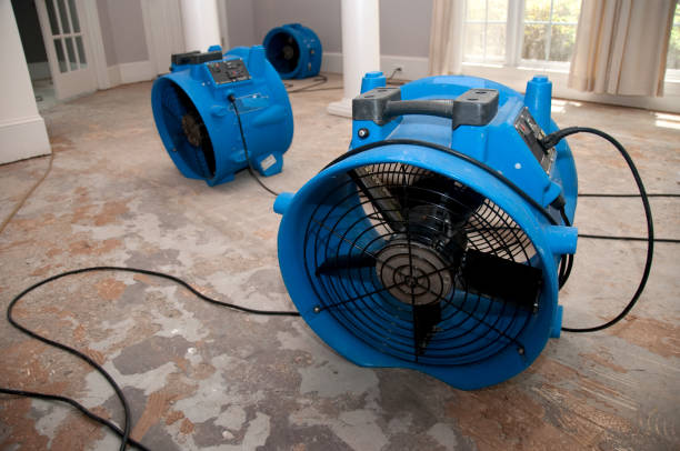 Best Carpet water damage restoration  in Lakemore, OH