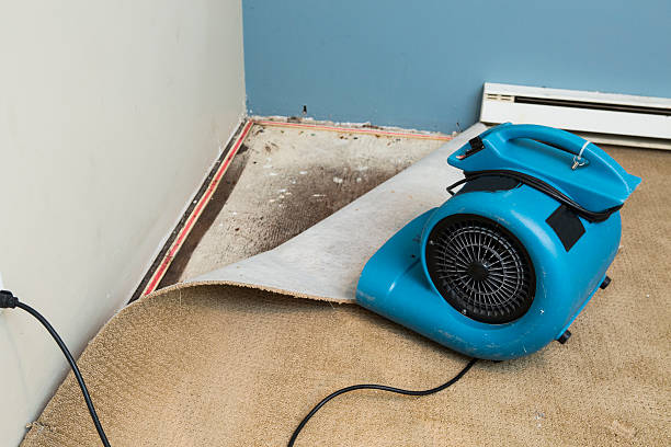 Best Carpet water damage restoration  in Lakemore, OH